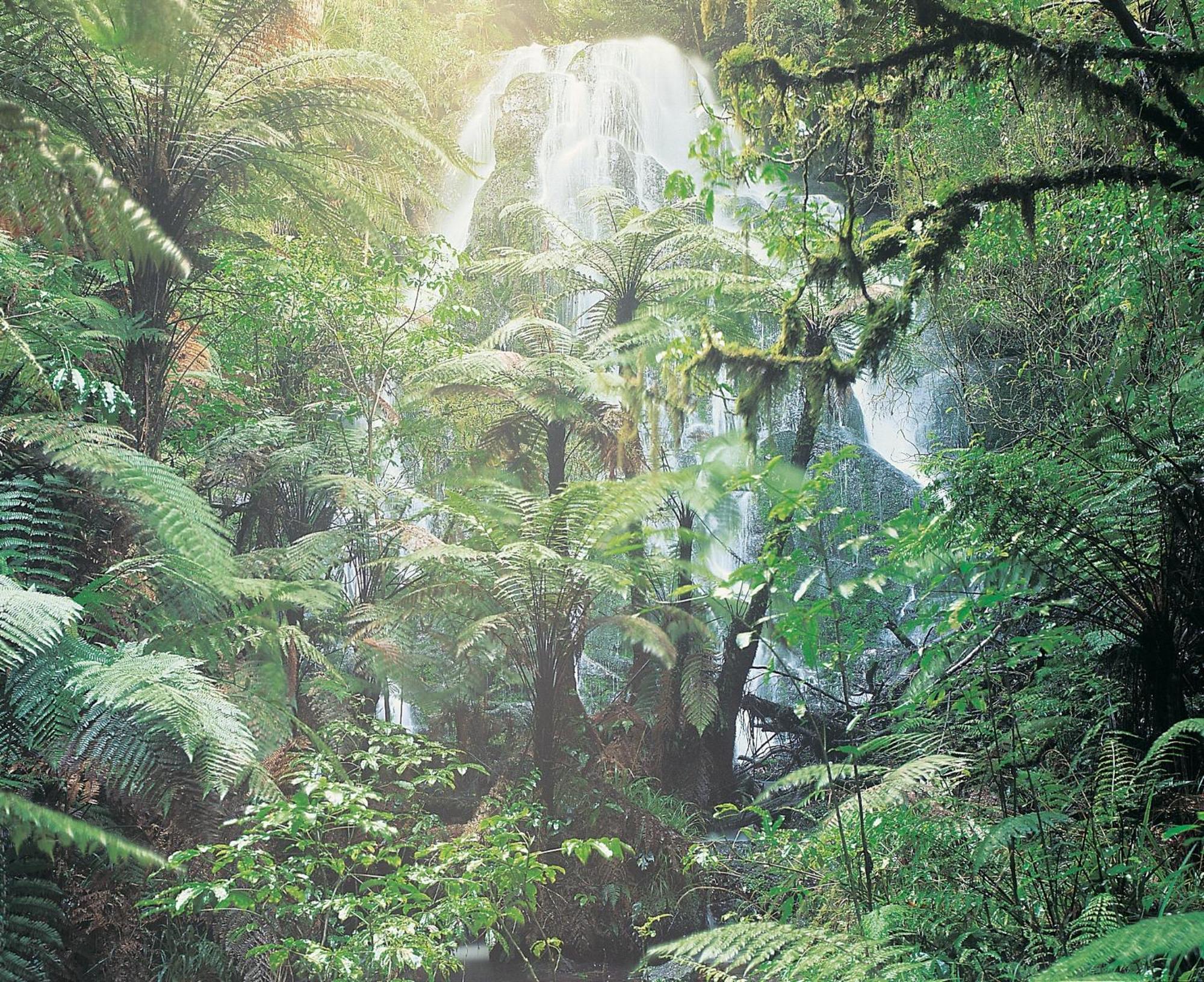 Treetops Lodge & Estate Rotorua Exterior photo