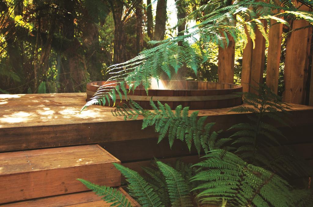 Treetops Lodge & Estate Rotorua Exterior photo